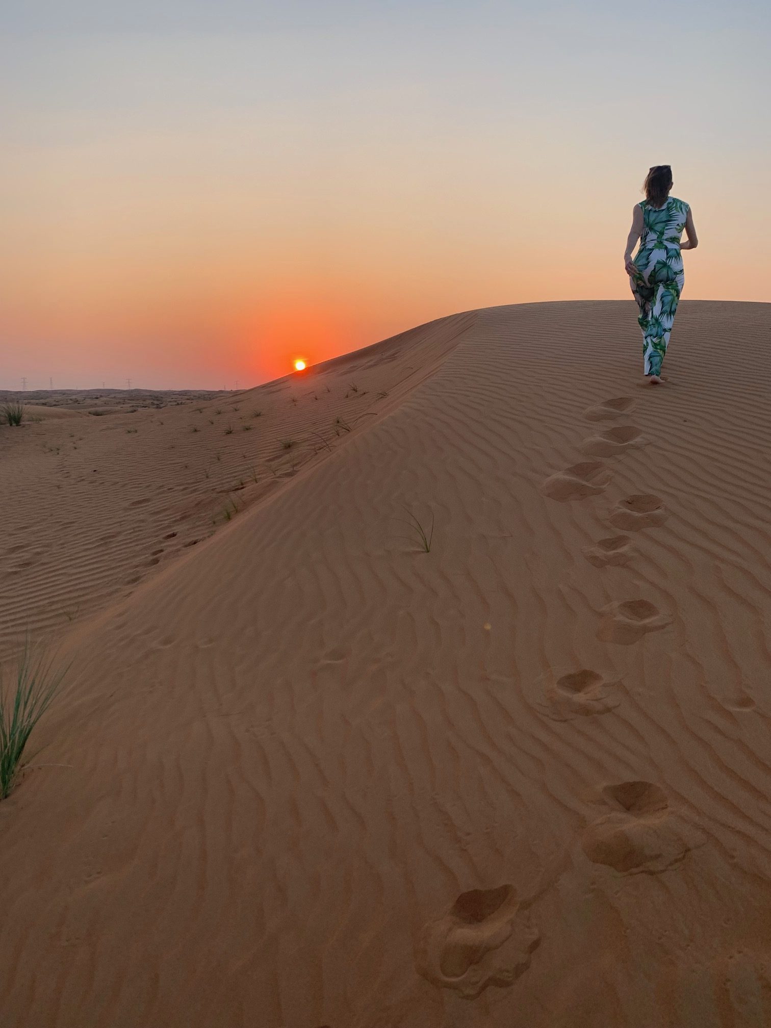 Új Fejezet - Belső Stabilitás Napló hero kép